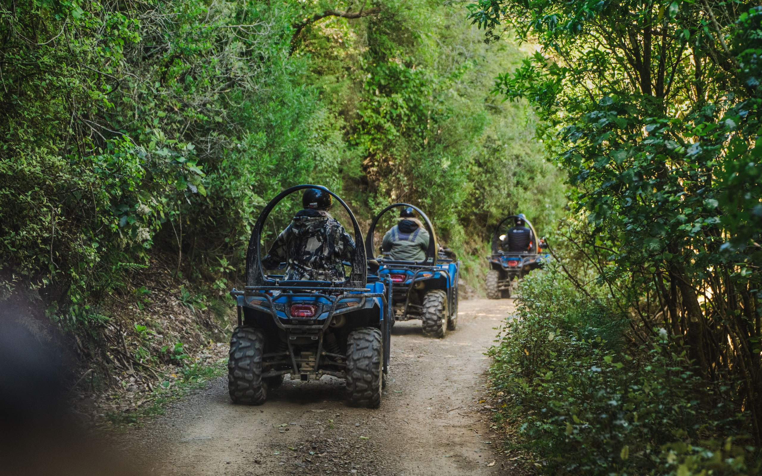 Quadbiking at Cable Bay Adventure Park by Roady