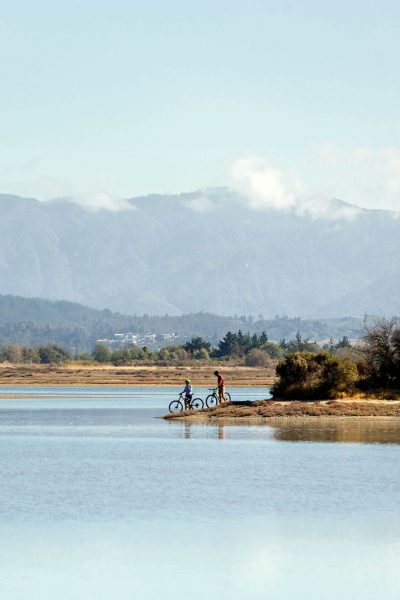 Mapua landscape biking Great Taste Trail by Virginia Woolf
