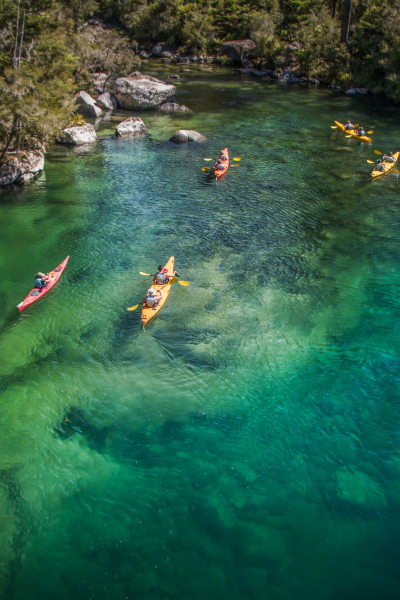 191371 kayakers in falls river in abel tasman national park web 2560px