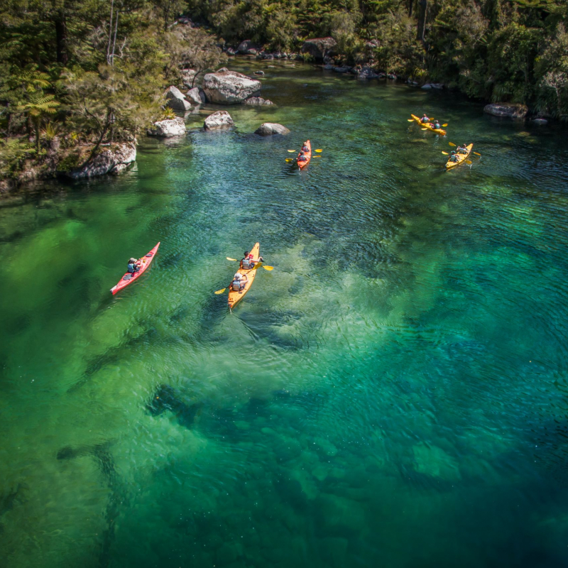 191371 kayakers in falls river in abel tasman national park web 2560px