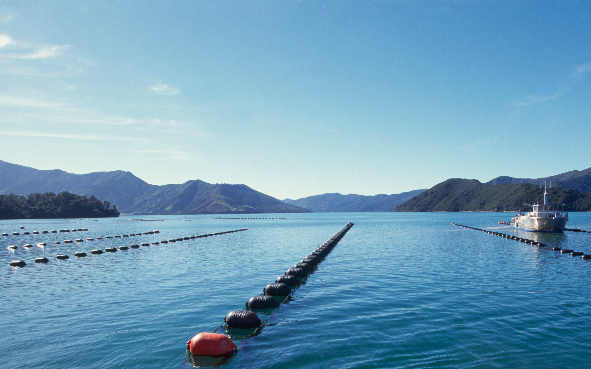 Aquaculture New Zealand