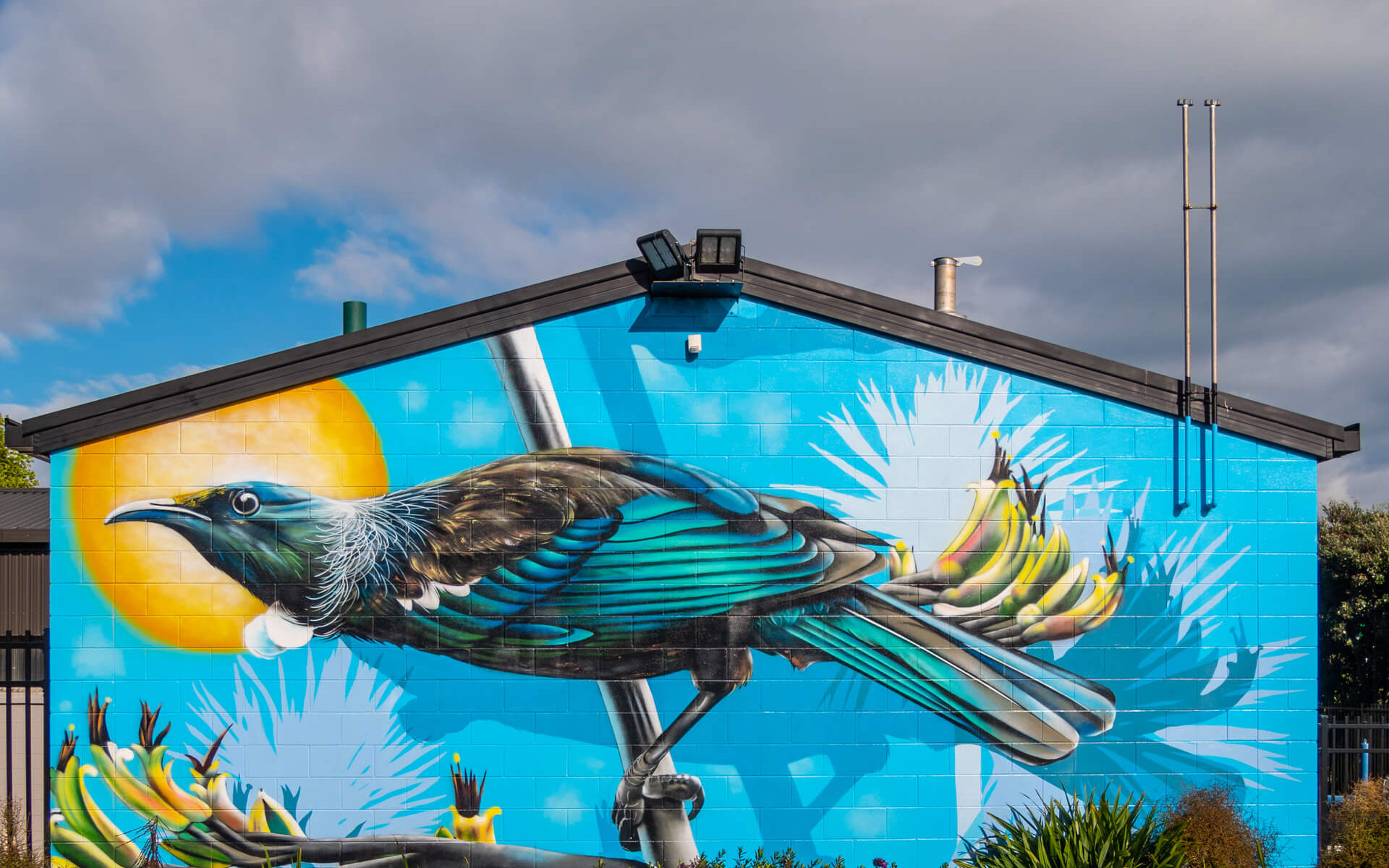 Tui mural by Charles Janine Williams in Neale Park