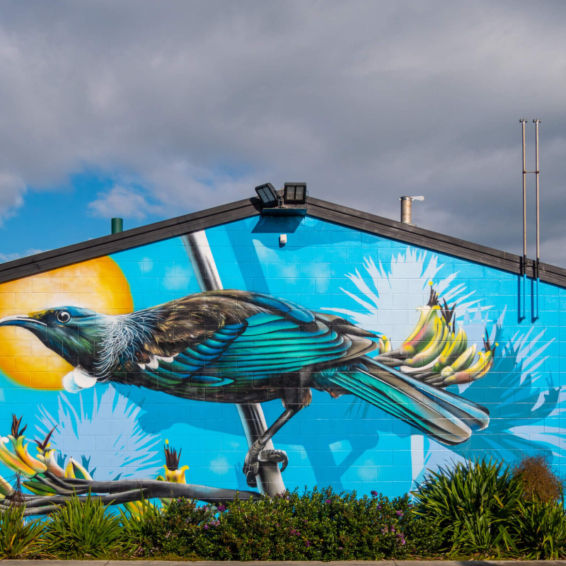 Tui mural by Charles Janine Williams in Neale Park